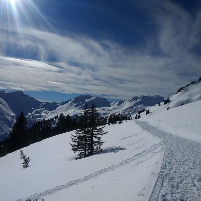 Winterwanderwege Damüls