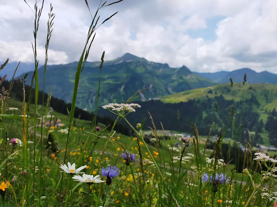 Damüls wandern Uga Aussicht