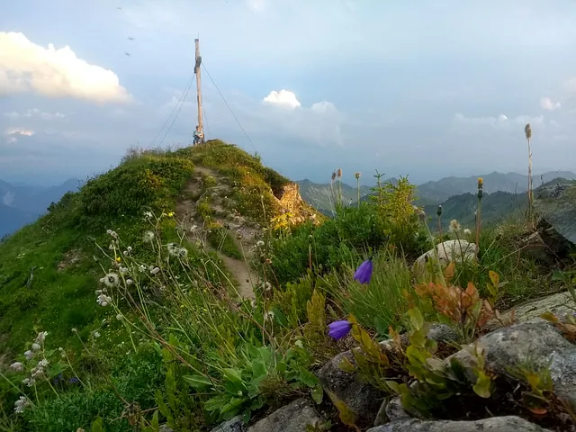 Damüls im Sommer Wandern