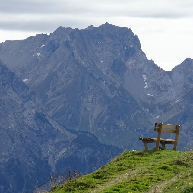 Faschina Damüls Edelweiss